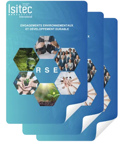 RSE Report download